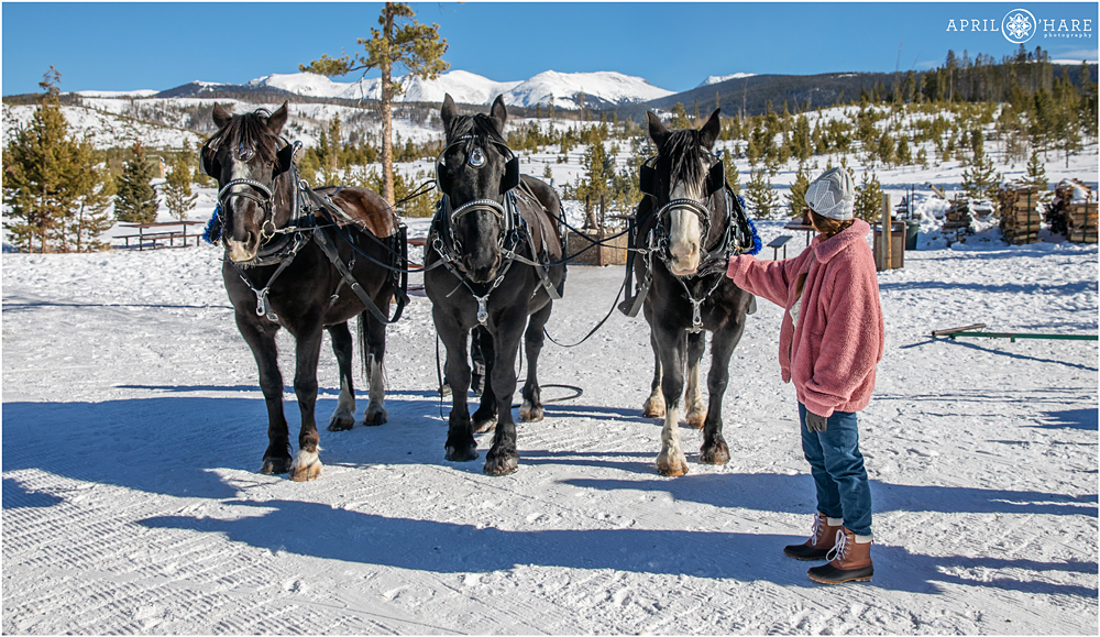 Petting the sleigh ride horses at Devil's Thumb Ranch in Colorado