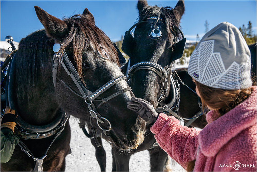 Petting the sleigh ride horses at Devil's Thumb Ranch in Colorado