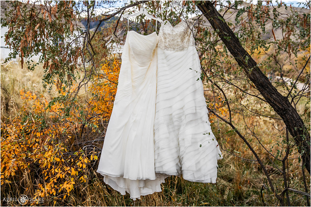 Colorado Lesbian Wedding Photography Two Bridal Gowns Hang in Golden