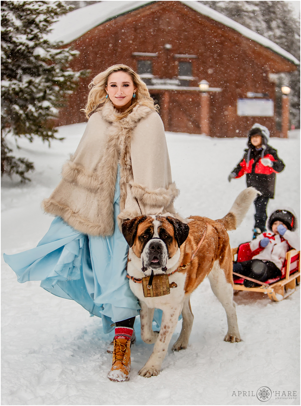 Magical outdoor destination winter wedding on a Colorado mountain with St. Bernard pulling a sleigh 