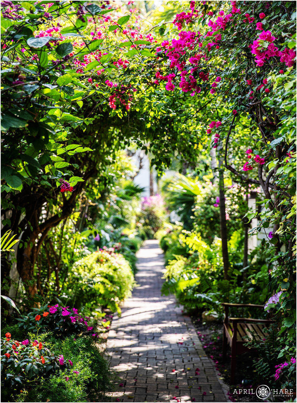 Beautiful private garden path in Key West Florida