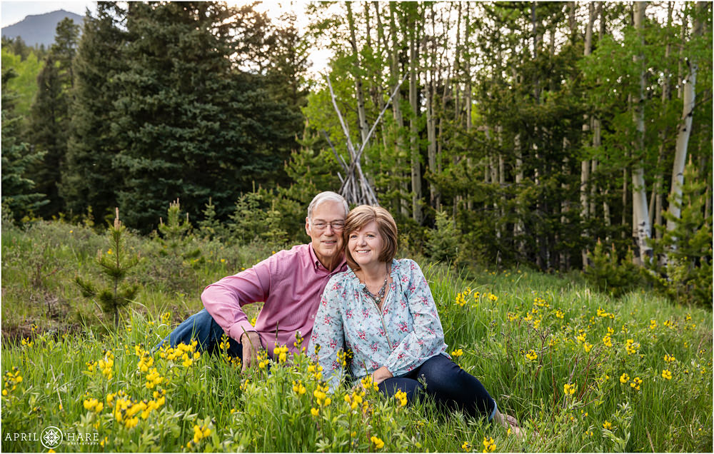 Gorgeous wildflower mountain meadow Evergreen Couples Portraits in Aspen Tree Grove