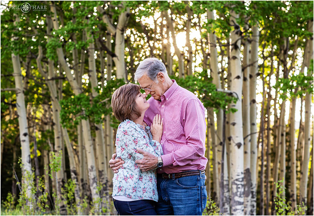 Romantic Couples Portrait with aspen tree grove backdrop in Evergreen Colorado