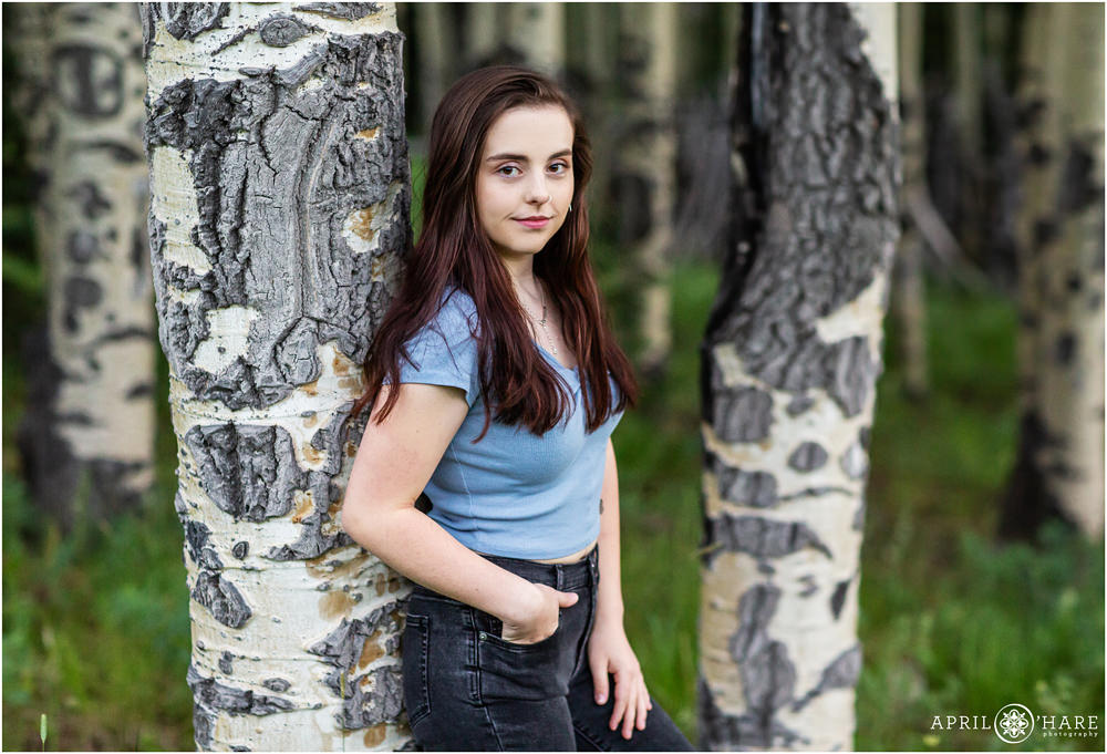 Evergreen Senior Photography with aspen tree forest in the mountains of Colorado
