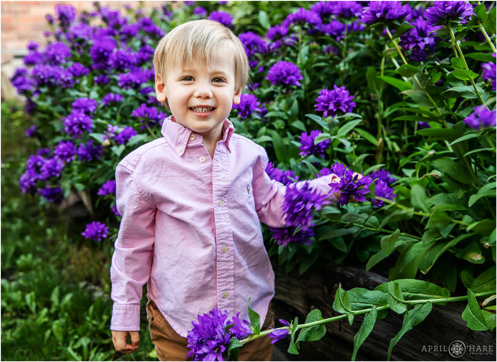 Adorable smile on a young boy's face at this Telluride Colorado Family Photography session with pretty purple flowers