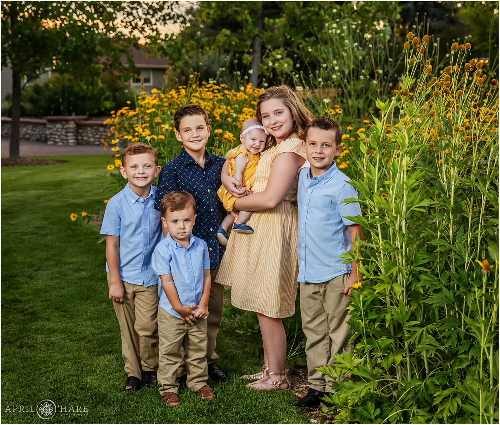 6 siblings pose for a sibling portrait in the gardens at Hudson Gardens in Littleton, Colorado