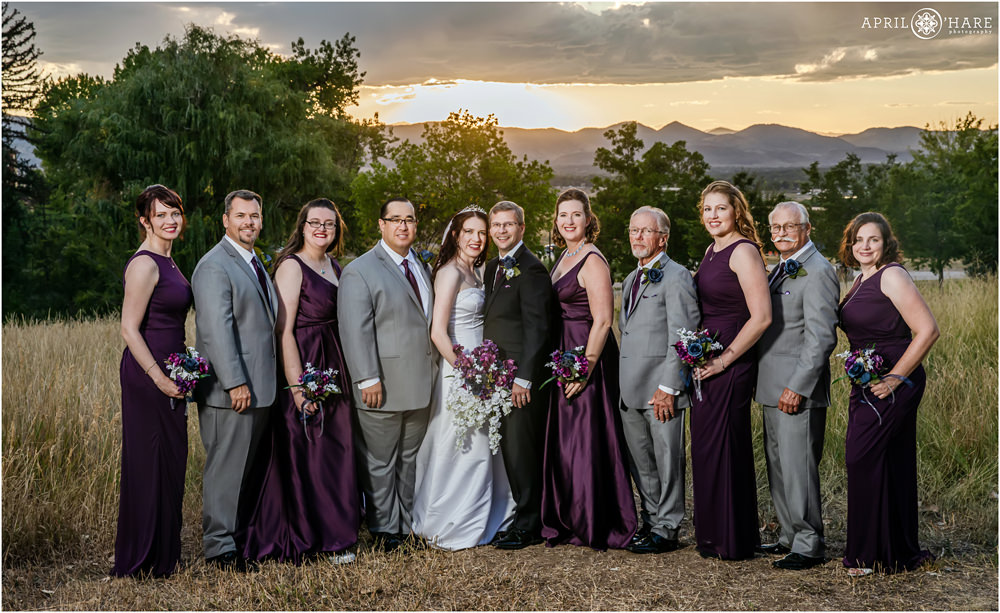 Wedding Party Portrait in a field with mountain backdrop at Flyin' B Park in Highlands Ranch Colorado