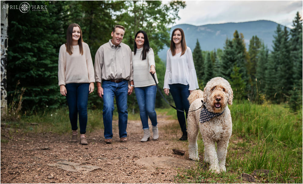 A Colorado family of 4 walk their dog at their misty mountain family photography session in Evergreen