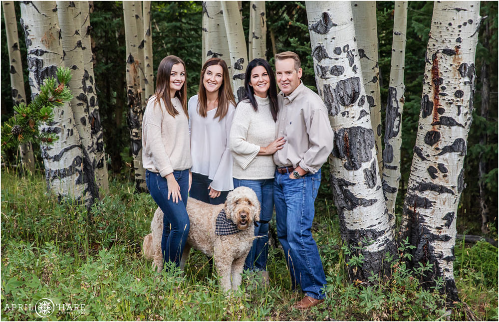 Family of 4 with a goldendoodle dog pose with Aspen trees at their family photoshoot in Colorado