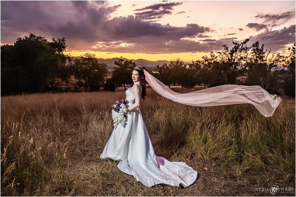 Bride's long veil blows in the wind at Flyin' B Park in Highlands Ranch Colorado