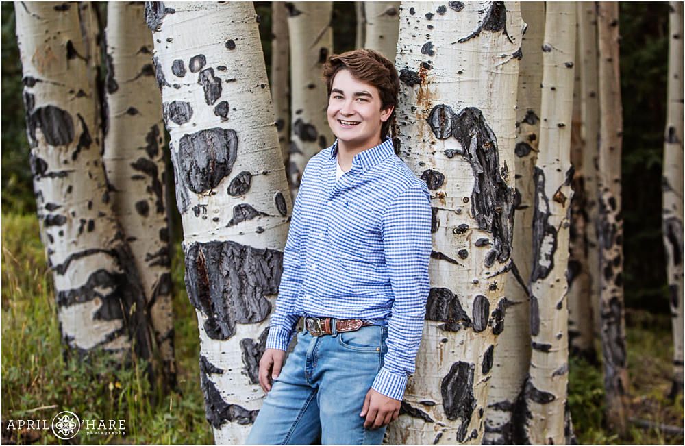High school senior boy wearing jeans with a blue and white checkered shirt leans against an aspen tree for his high school senior pictures