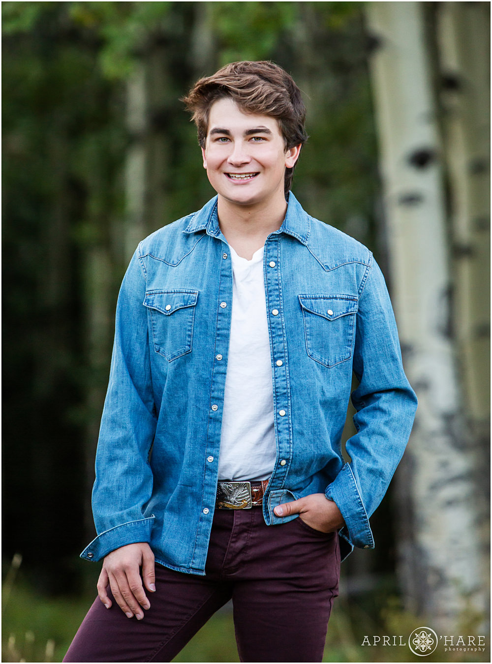 High school senior Boy wearing maroon pants, white tshirt, and Blue jean button up shirt poses in an Aspen Tree forest in Colorado