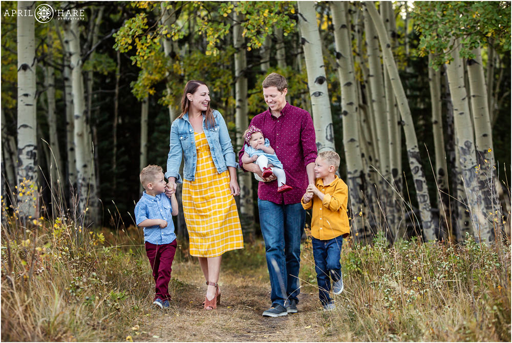 Family of five walk along a path in an Aspen Tree Grove in Evergreen Colorado