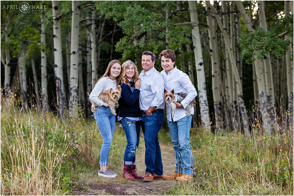A cute family photo with four people and two little dogs with aspen tree grove backdrop in Evergreen Colorado