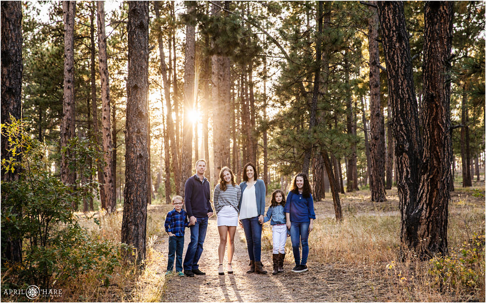 Beautiful light in a Colorado forest blended family photos during fall
