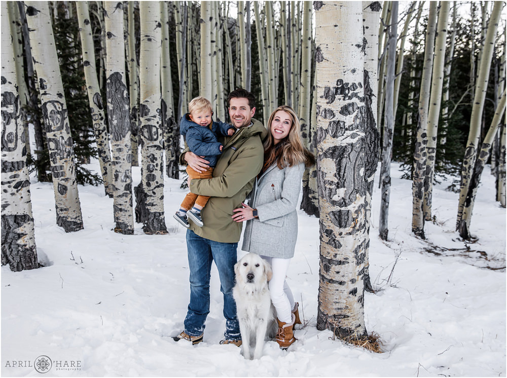 Cute Colorado Family Photos in a pretty Aspen Grove during winter on Sqauw Pass Road