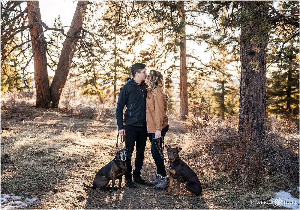 Sweet photo of a couple kissing while their dogs are on leash at Mount Falcon