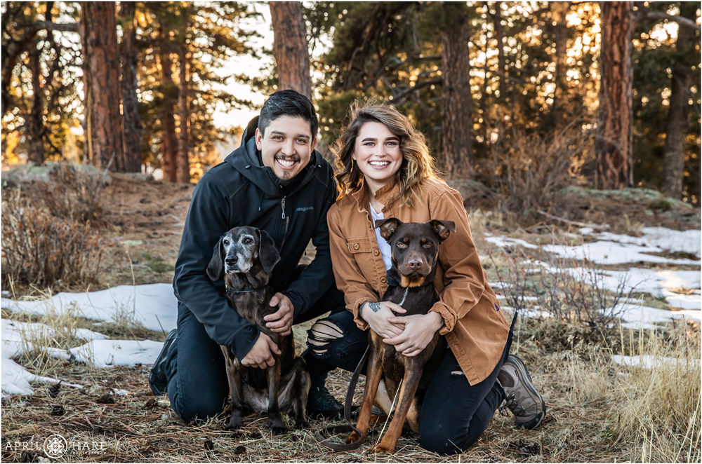 Cute photo of a couple and their two dogs during winter at West Mount Falcon in Colorado
