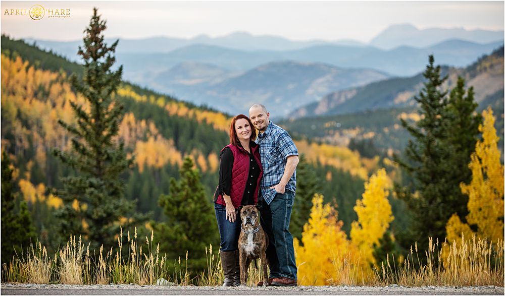 Top Engagement Session Locations in Denver