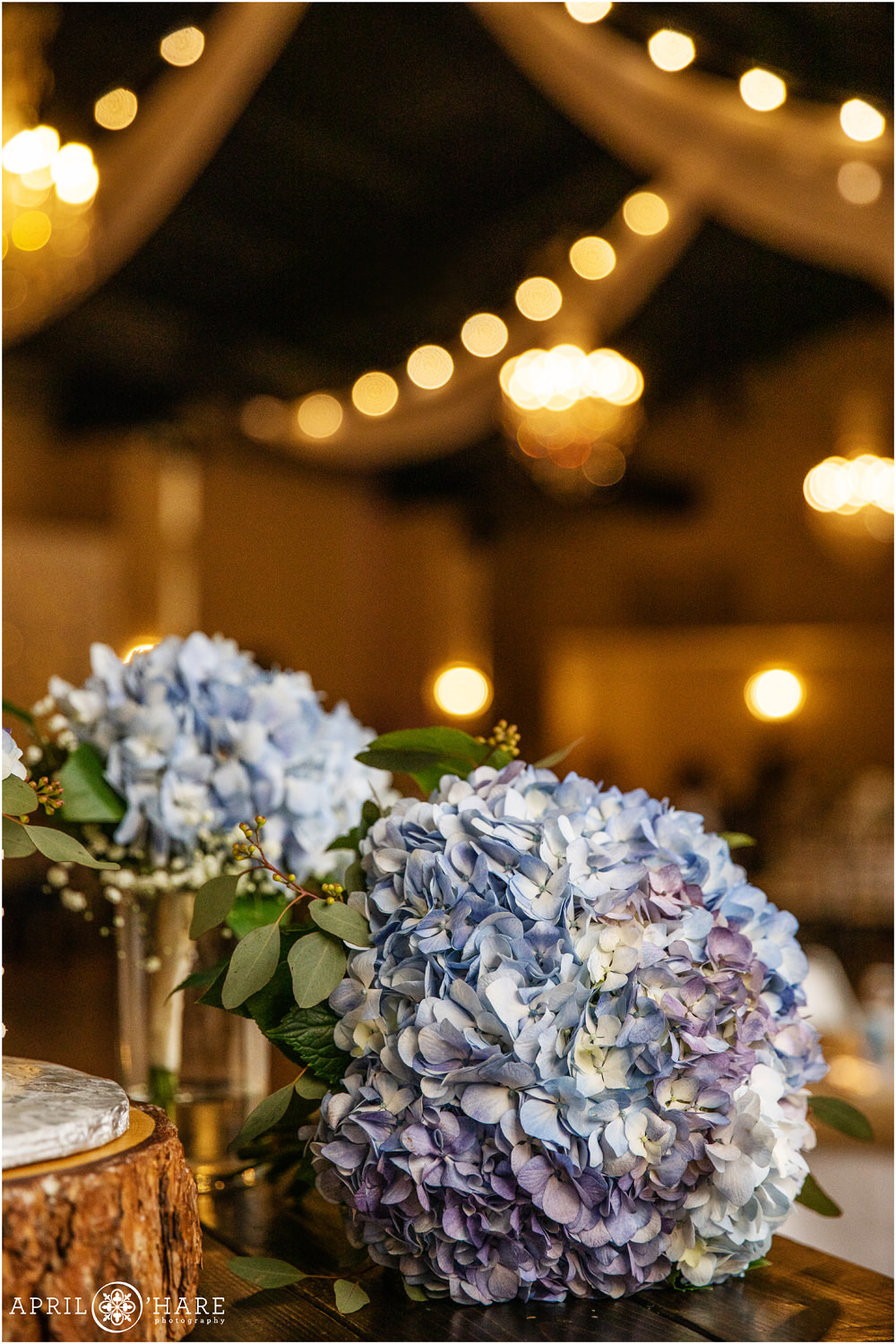 Blue Hydrangeas decorate a Colorado Springs Wedding During Spring