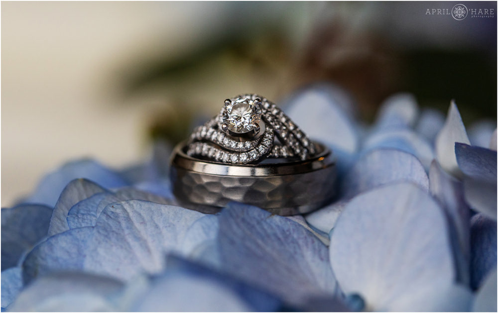 Wedding ring detail photo on blue hydrangea flowers 