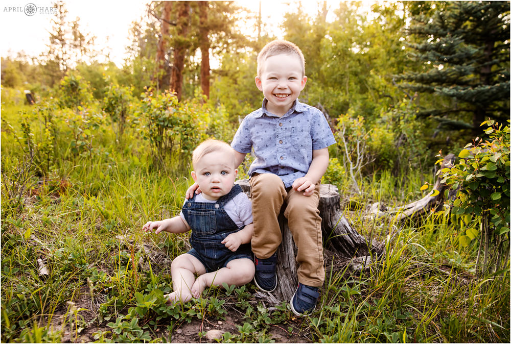 Two kid brothers pose on a tree stump during summer in Granby Colorado