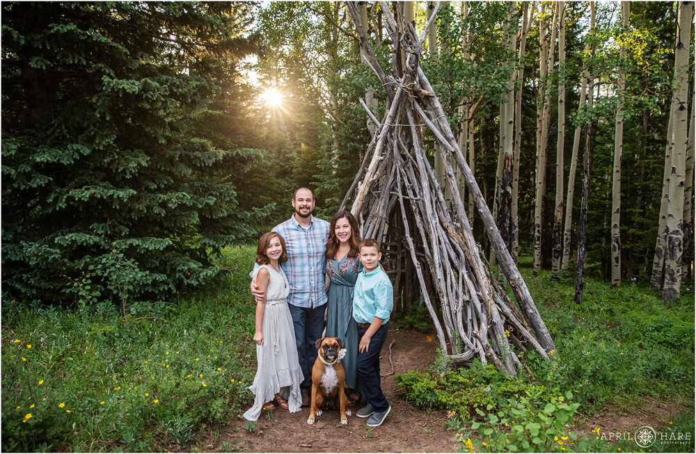 Pretty backlit forest setting for a family of four with their cute boxer dog in Evergreen Colorado