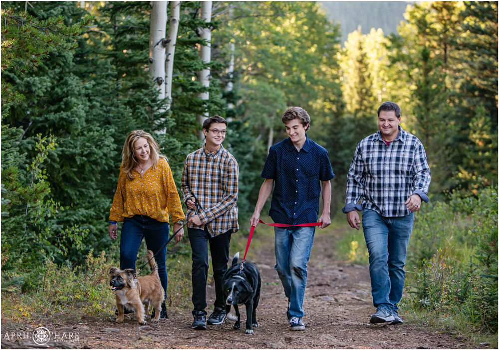 Family of 4 with fraternal twin senior boys walk their two cute dogs in the forest