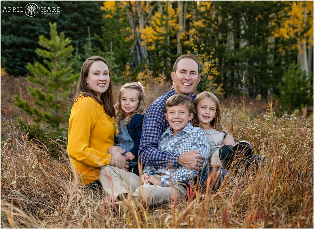 Beautiful family portrait for a family of 5 sitting in the tall grass at Beaver Brook Watershed Trailhead in Evergreen Colorado