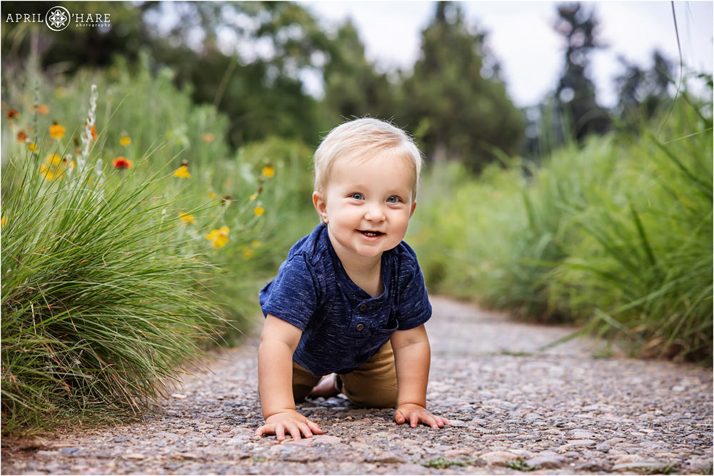 Baby boy crawling and smiling along a stone path at Denver Botanic Gardens with grasses and wildflowers on the edge of the path