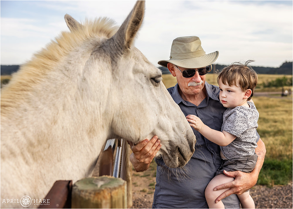 A grandfather holds his grandson as they greet a white horse on a private ranch in Elizabeth Colorado