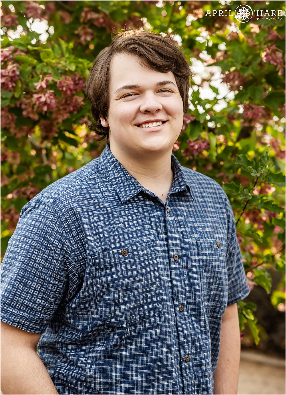Senior boy with brown hair wearing a blue checked button down short sleeve shirt with a tree leaf backdrop at Centennial Gardens in Denver CO