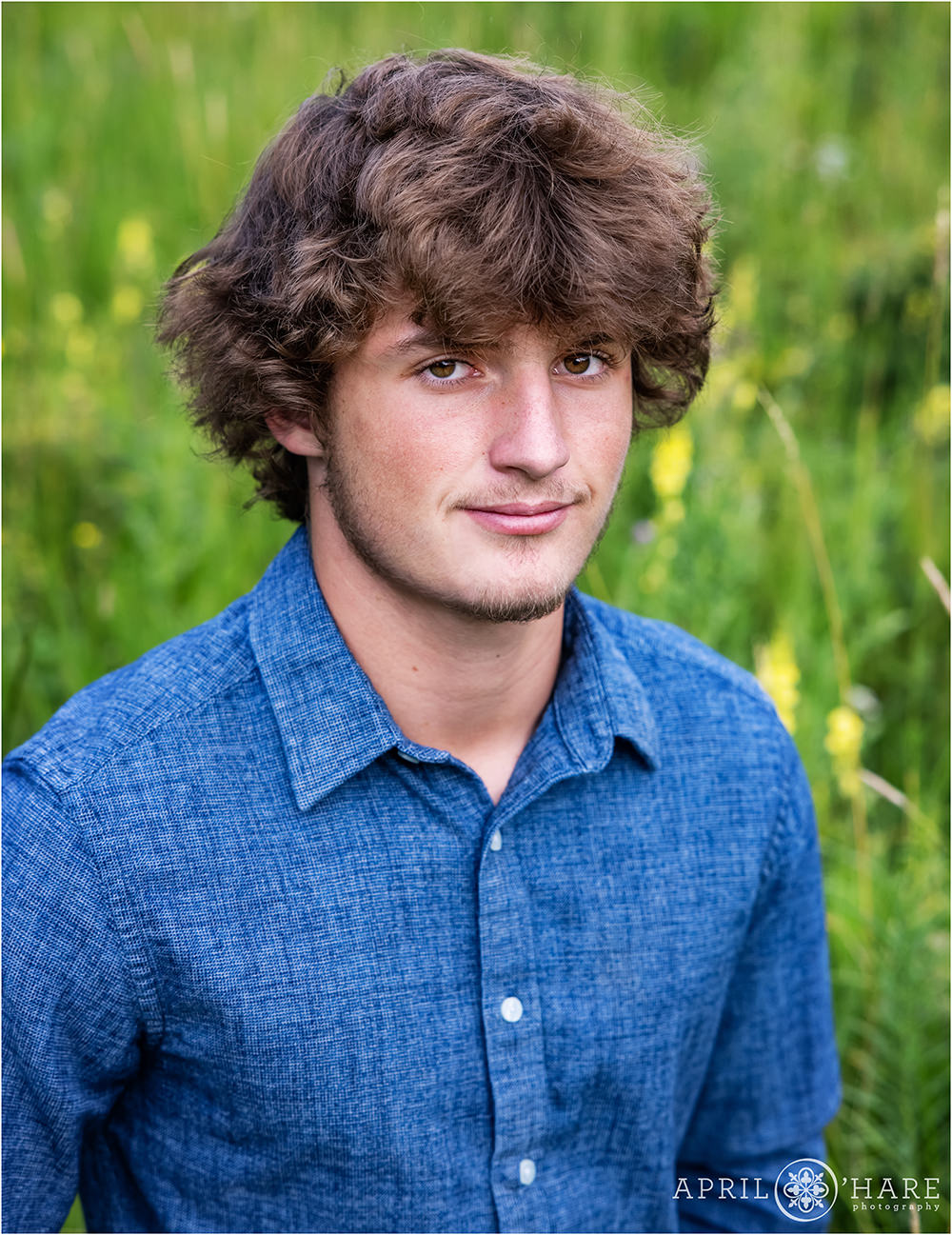 High School senior headshot for a boy with light brown hair and light brown eyes wearing a blue chambray style long sleeve button down shirt in a field of wildflowers in Colorado