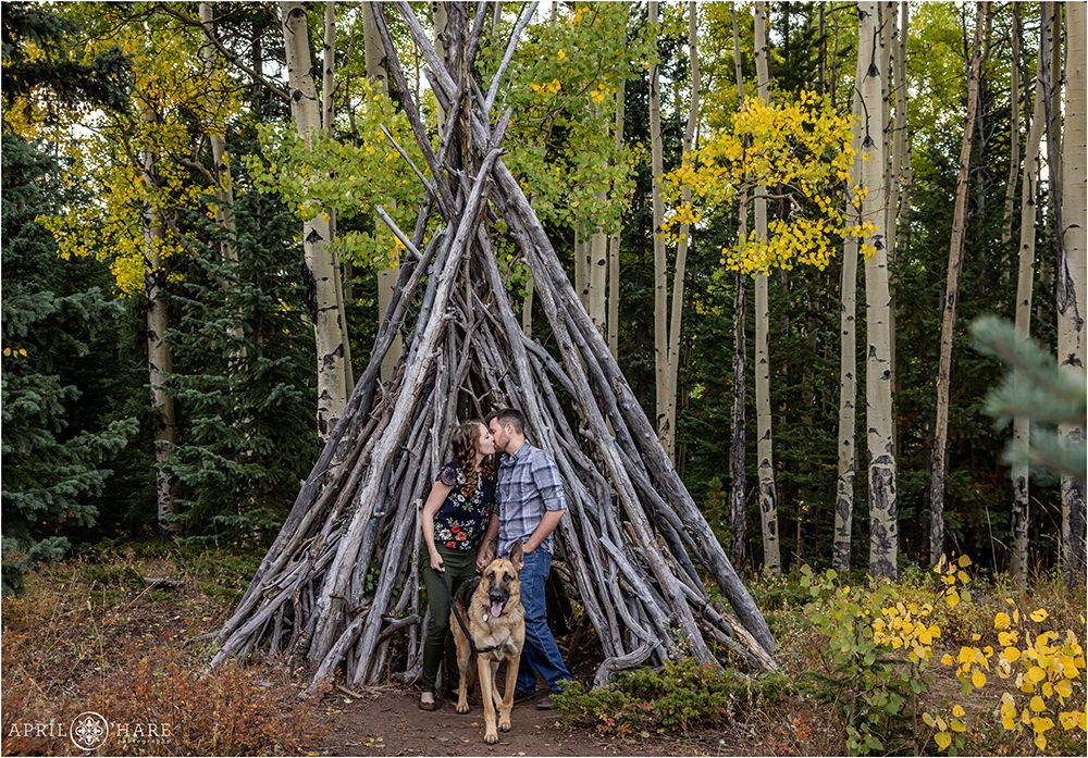 A cute photo of couple holding hands and kissing with their German Shepherd dog with a wood tipi structure in an aspen tree forest