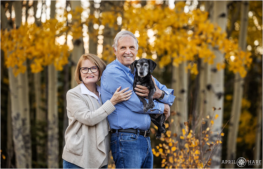 Grandparents pose with their senior dog in the pretty fall color aspen trees in Evergreen Colorado