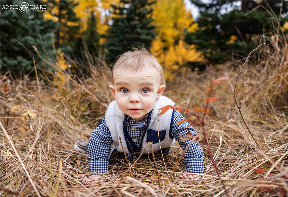 Cute baby boy with fall color backdrop in Evergreen Colorado