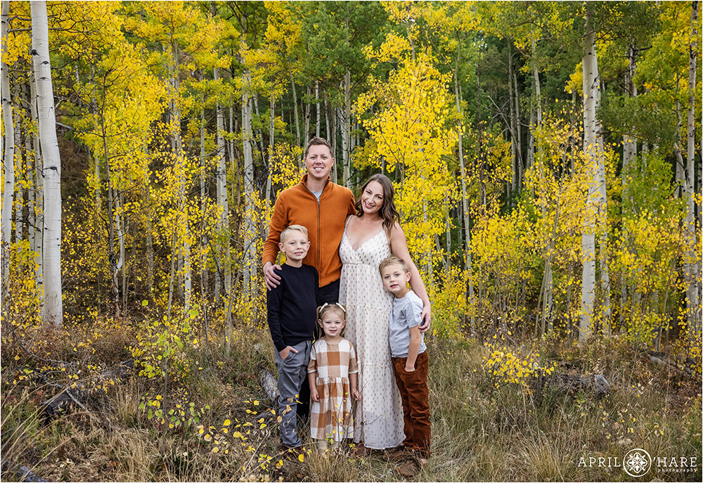 Beautiful golden aspen tree grove family photos in Summit County Colorado