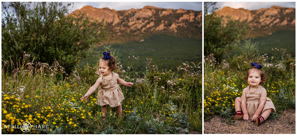 Adorable young girl wearing a neutral dress and bright blue bow in her hair stands in the wildflowers at sunset at Lily Lake in Estes Park Colorado