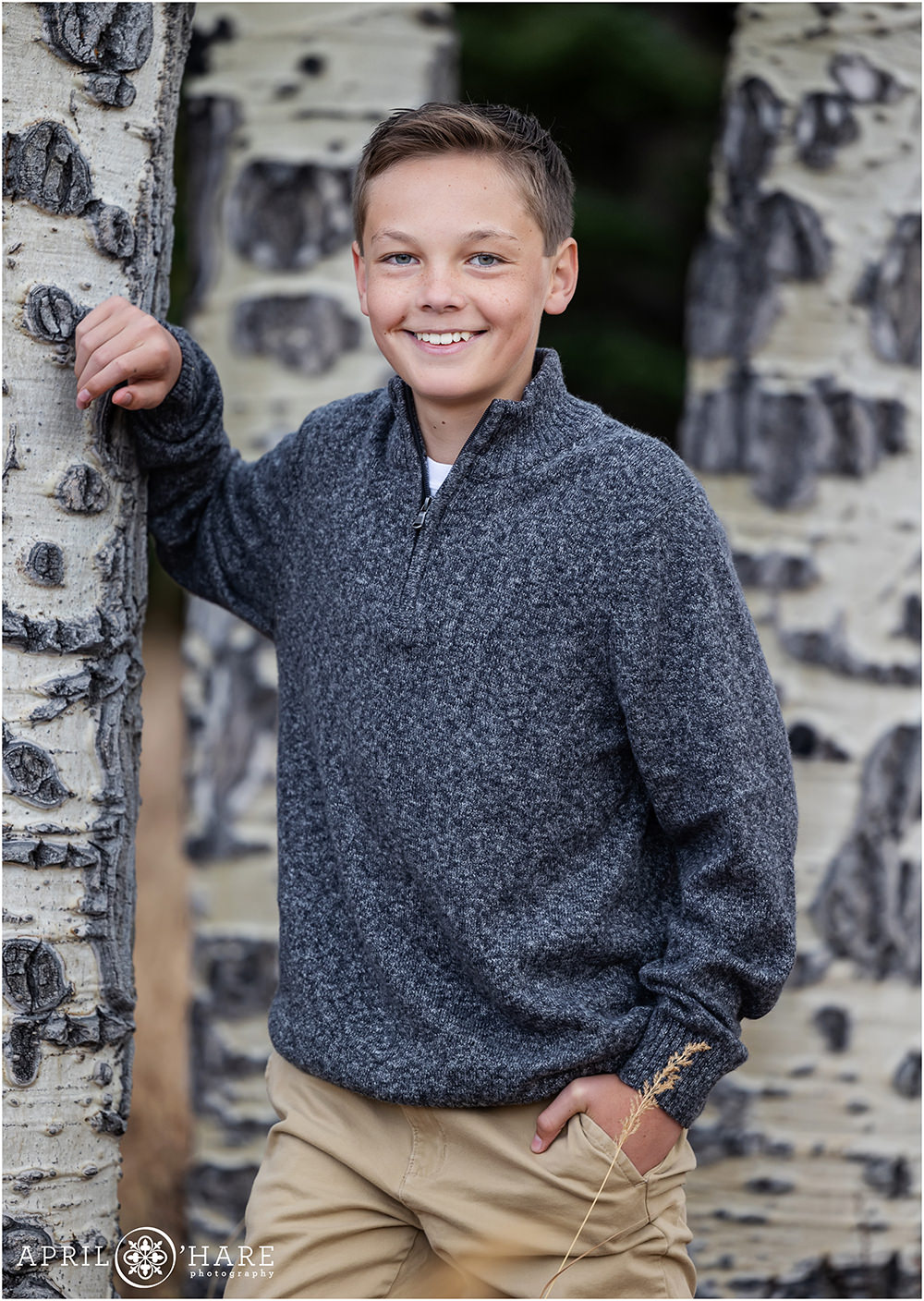Teenage boy wearing a gray sweater with khaki pants leans against an aspen tree with his arm in Colorado