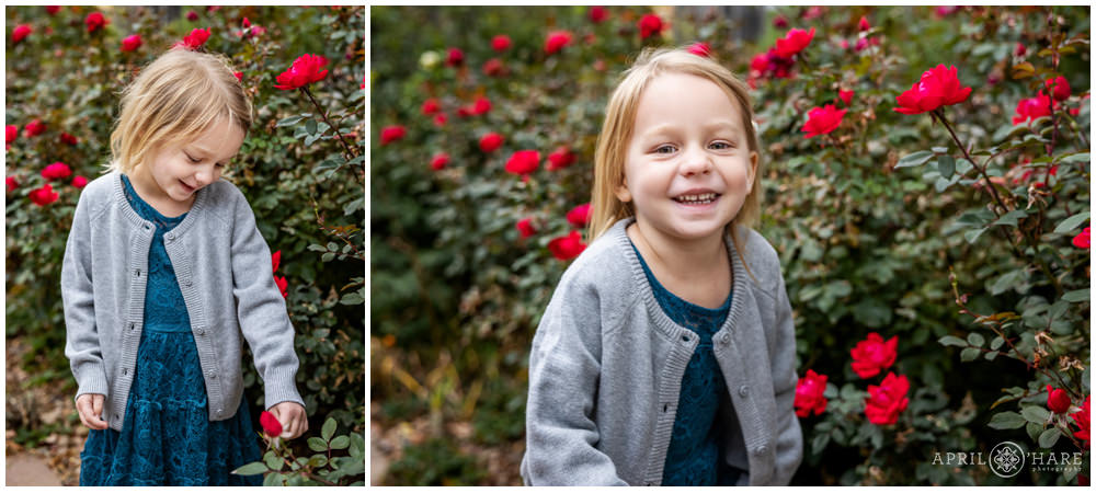 Cute little girl wearing a gray cardigan and teal dress poses with the roses in her grandma's garden in Denver