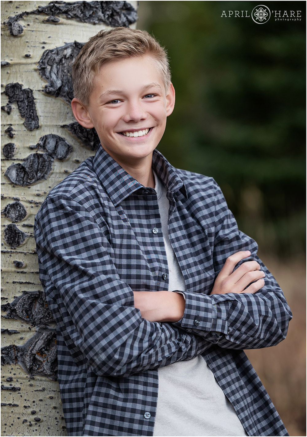 Blonde Teen boy weairng a checkered shirt leans against an aspen tree trunk at his family's photo session in Colorado