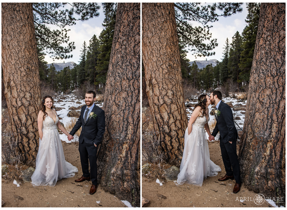 Adorable photos of a wedding couple holding hands with bride having one hand in her dress pocket in front of two huge trees inside Rocky Mountain National Park in Colorado