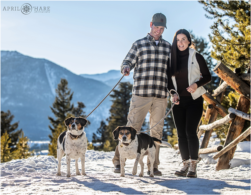 Cute Doggie Family Photos in the Snow at Sapphire Point