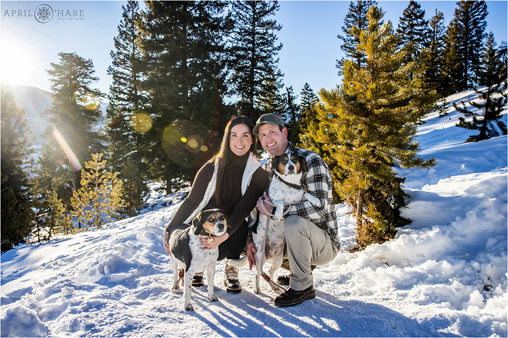 Pretty Snowy Couples Portrait with Dogs at Sapphire Point