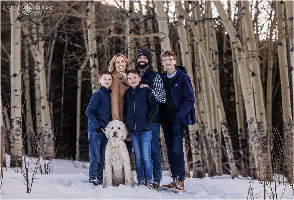 Beautiful winter family portrait for a family of 5 wearing blue with their white labradoodle in Colorado