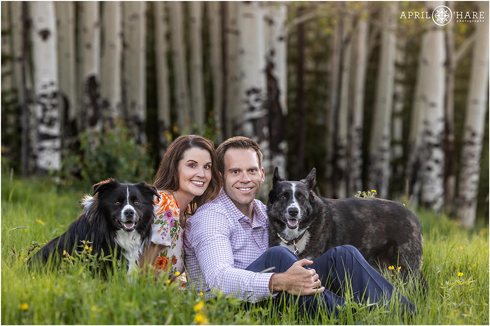 Beautiful couple family photo with their two dogs in Colorado