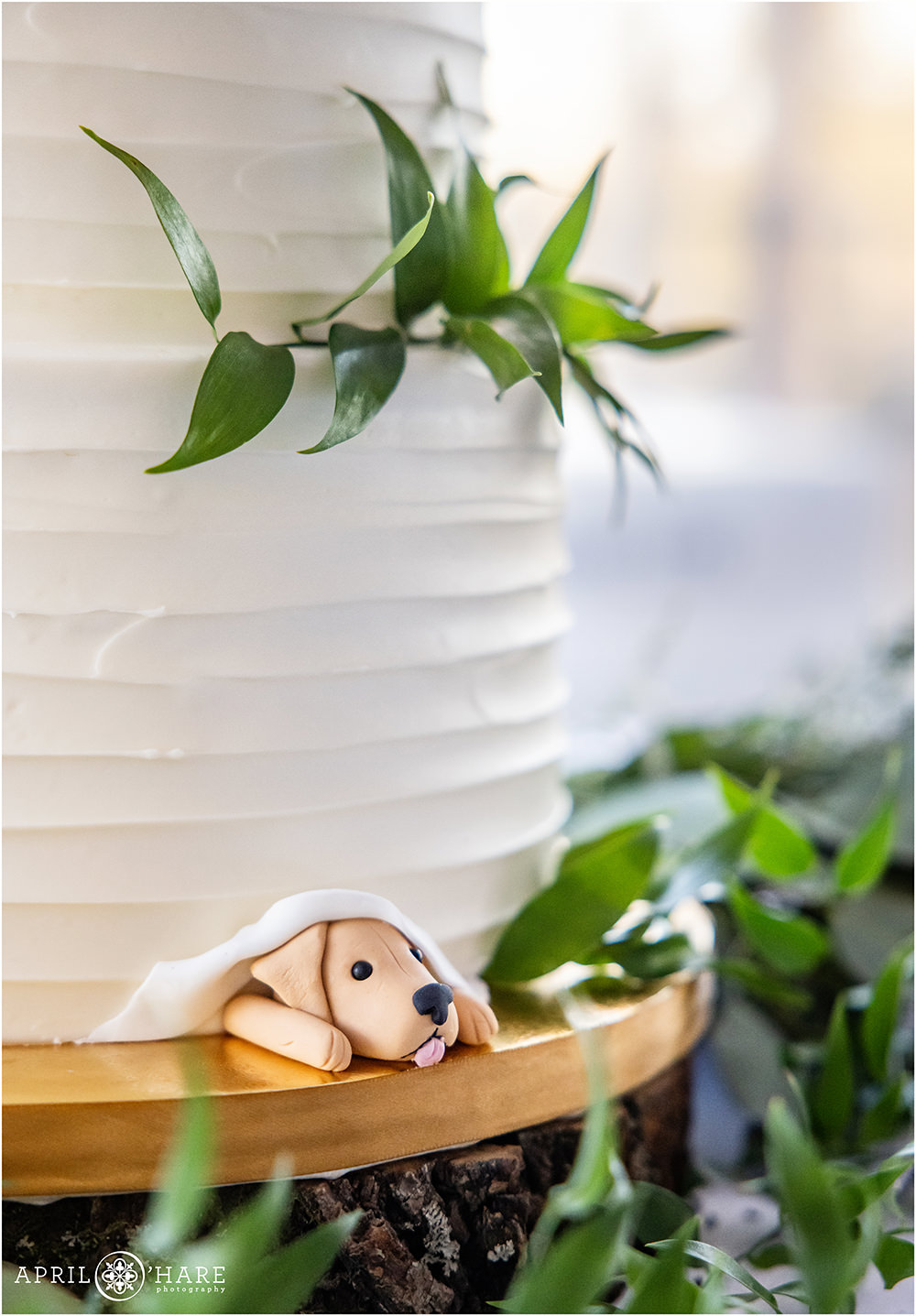 White wedding cake with a cute fondant dog peeking out underneath it