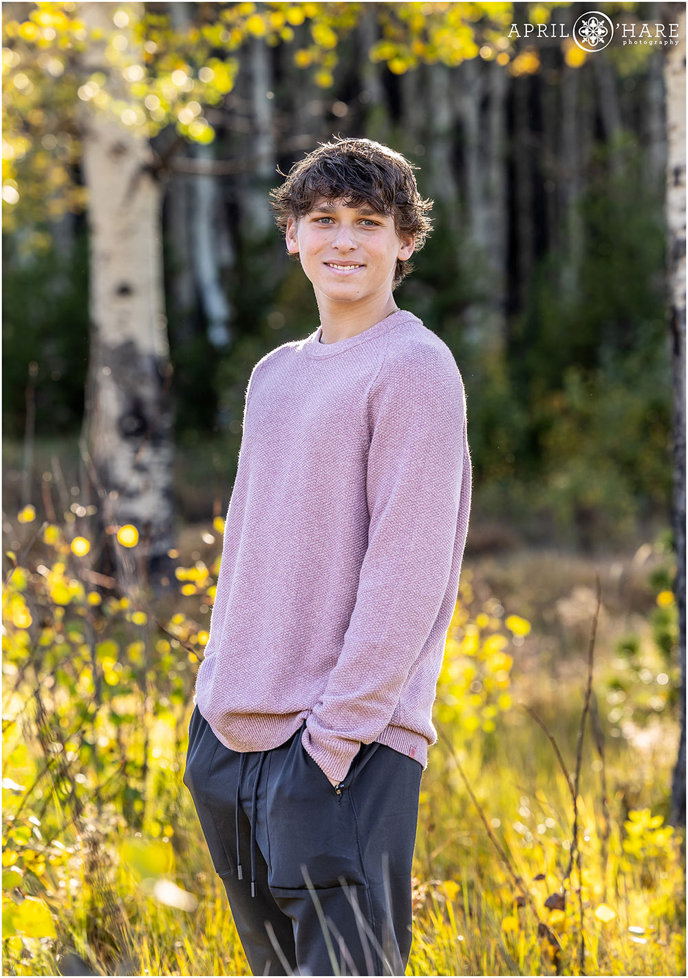 Senior boy wearing a lavendar sweater in an aspen tree grove in Colorado