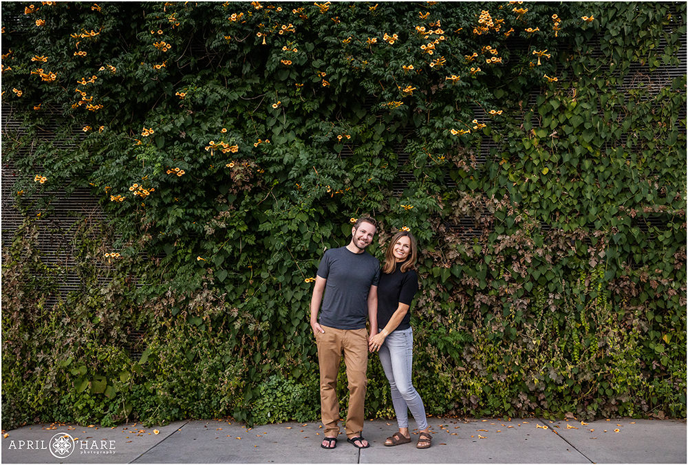 Cute photo of a couple standing in front of an ivy covered wall with Trumpet Vine at Denver Botanic Gardens in Colorado