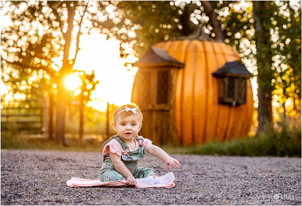 Little girl sits on the ground with pretty sunlight streaming through from behind with a large fairytale pumpkin house in the backdrop